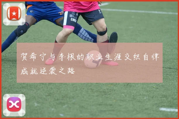 贺希宁与李根的职业生涯交织自律成就逆袭之路